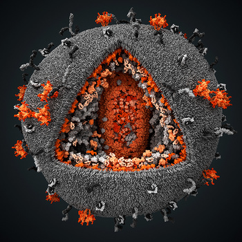 Вирус ВИЧ 3д модель